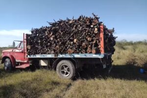 Le&ntilde;a y Carb&oacute;n &ldquo;Los Chicos&rdquo;