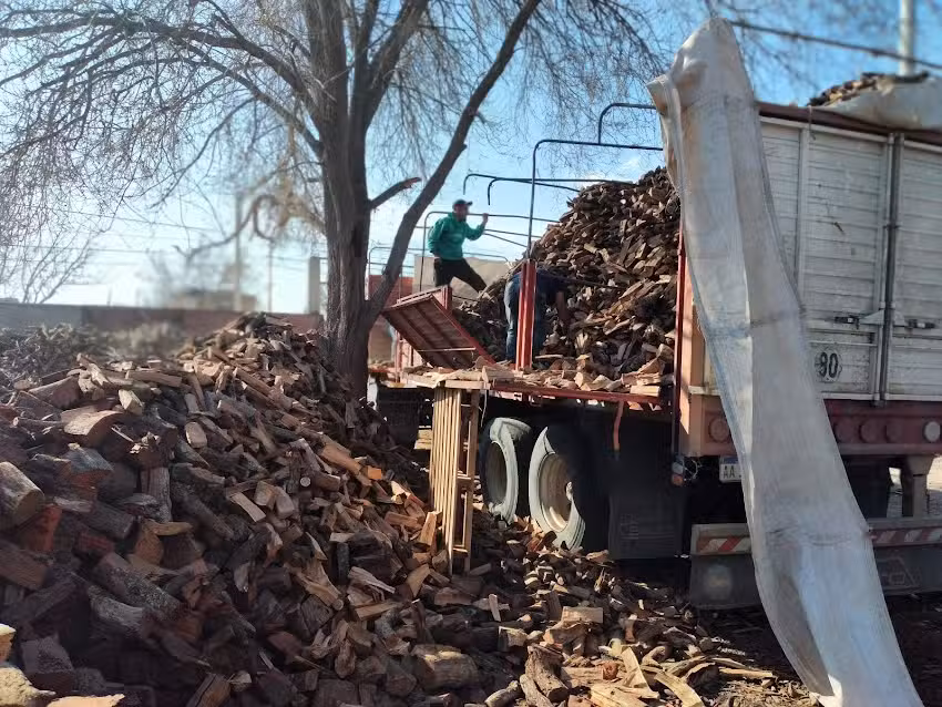 Le&ntilde;era la familia