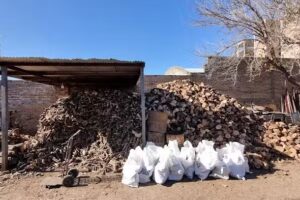 Le&ntilde;eria Manchado