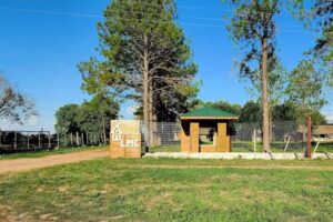 LMC S.A.( Ladrillos de Madera Constructivos))