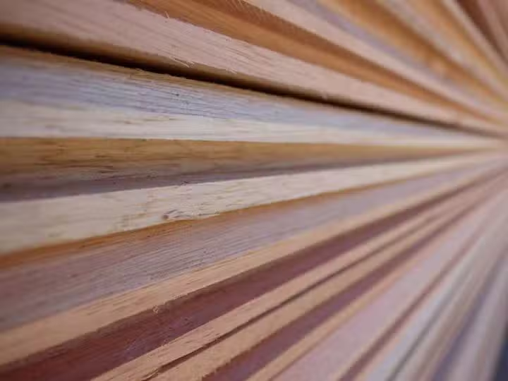 Los Cipreses Aserradero