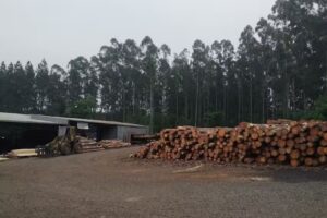 Los Tres Pinos SRL- Molduras