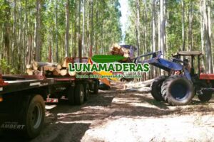 LunaMaderas S.A. Fábrica de Pallets de Madera