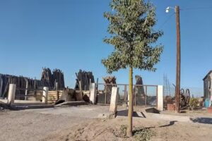 Maderas Agust&iacute;n