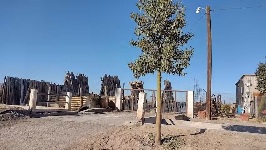 Maderas Agust&iacute;n