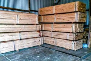 Maderas Garden House