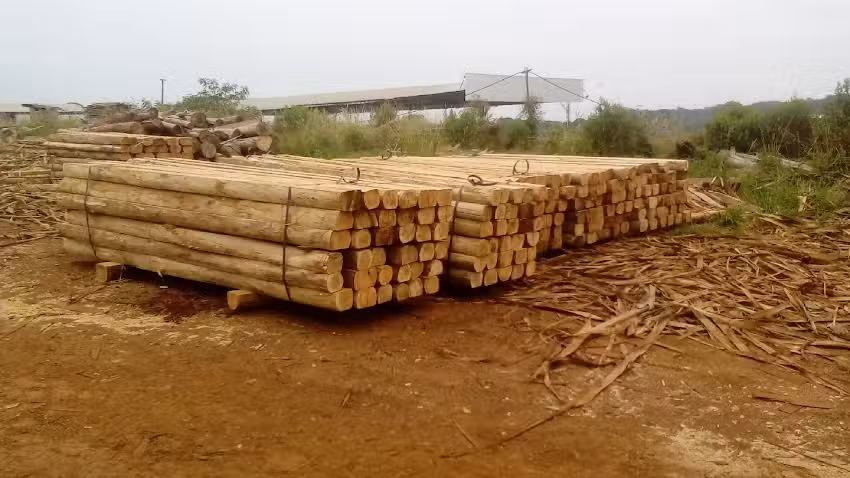 Maderas Guadalupe S.A.