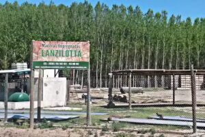 Maderas Lanzilotta
