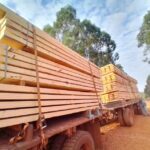 Maderas Misiones SRL