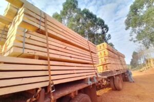 Maderas Misiones SRL