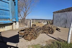 ” MADERAS PICHILLI “