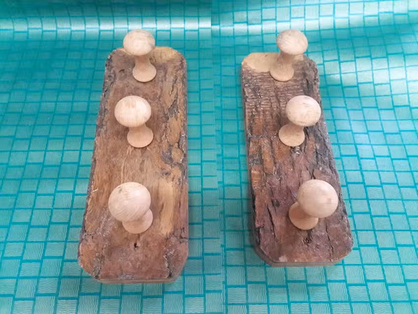 Maderas San Luis SRL