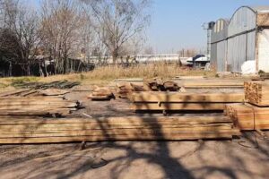 Maderas selva Roldan