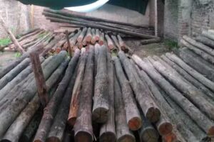 Maderas y Servicios Del Litoral S.A.S.