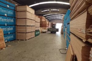 Maderas y Terciados Fen&oacute;licos para Encofrados y N&aacute;utica