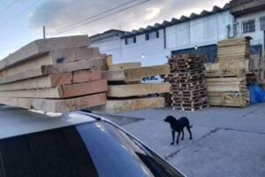 Maderera Ag&uuml;ero e hijo