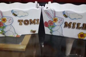 Maderera Artesanal Andresito Misiones