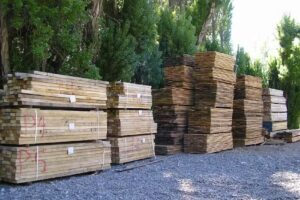 Maderera de los Andes