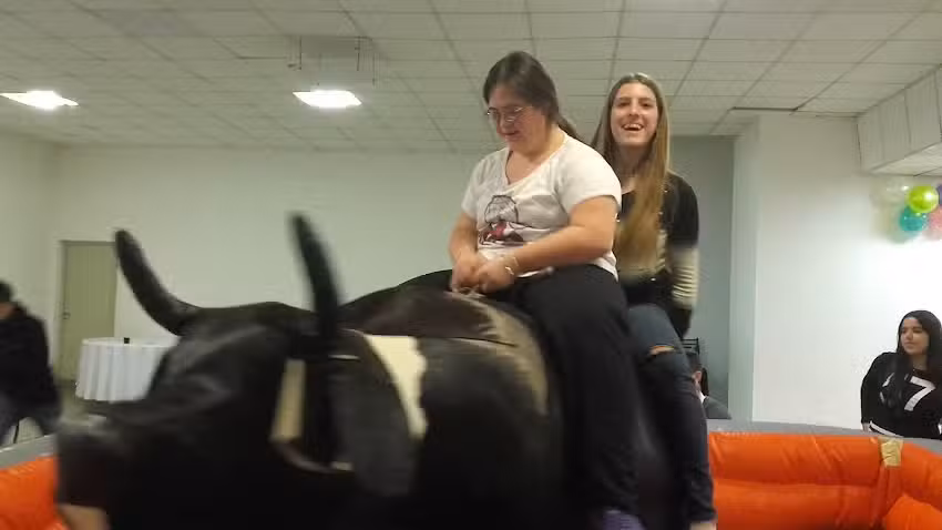 Maderera Don Gino Maderas En General