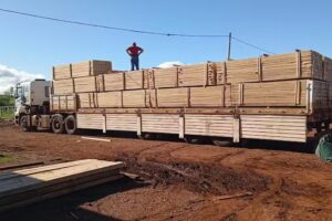 Maderera Eichelt herm…