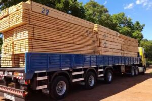 Maderera El Cedro Azul