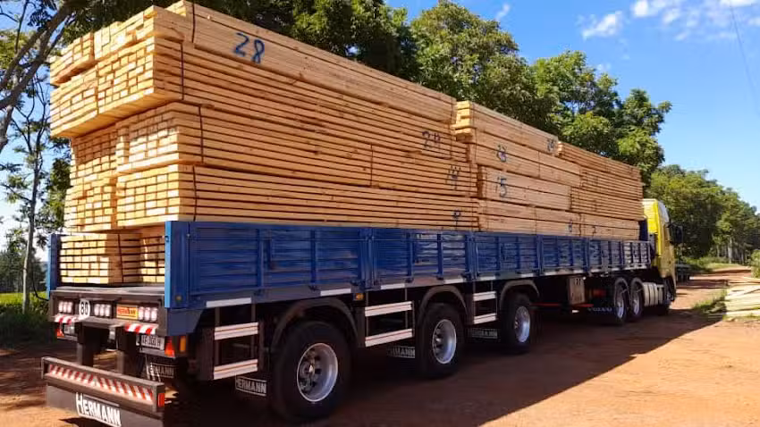 Maderera El Cedro Azul