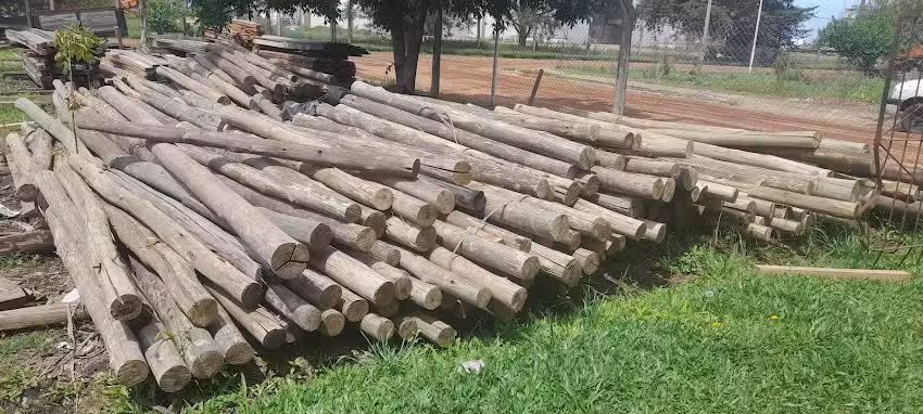 Maderera &ldquo;El Refaloso&rdquo;