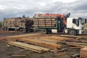 Maderera Instalaciones Agrícolas