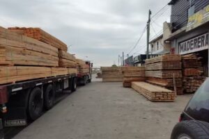 Maderera kakitech ️