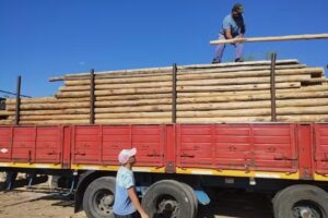Maderera la Santafecina