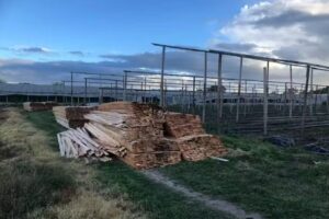 Maderera los 5 pinos