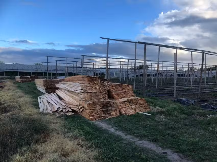 Maderera los 5 pinos