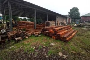 Maderera Los Mangrullos