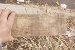 Maderera Los Pinos SRL