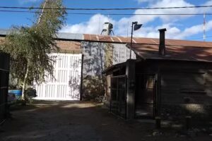 Maderera Perito Moreno