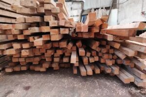 Maderera Punta pilar