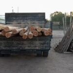 Maderera San Expedito