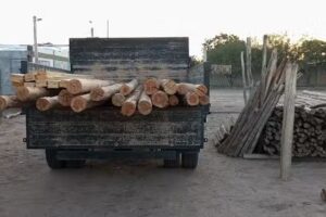 Maderera San Expedito