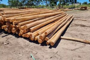 Maderera San Vicente