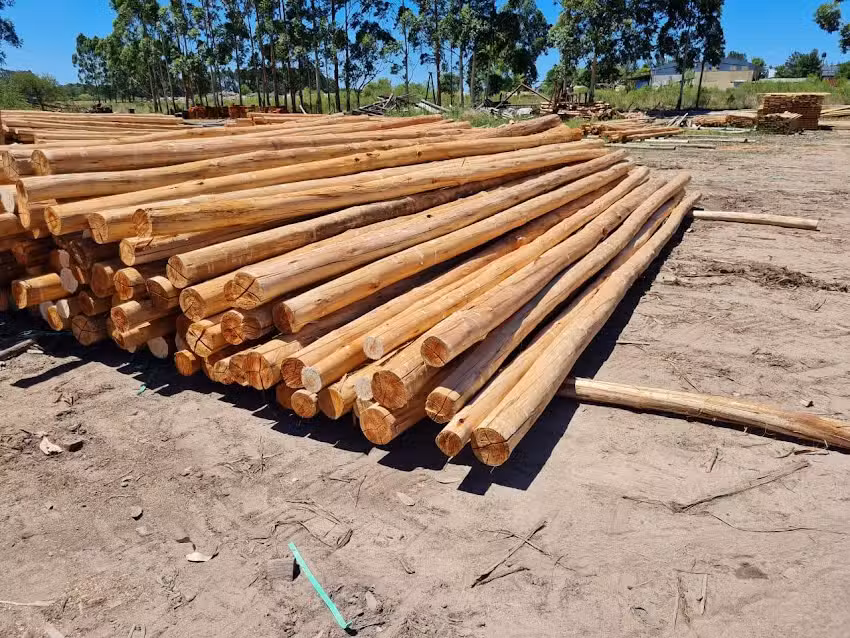 Maderera San Vicente