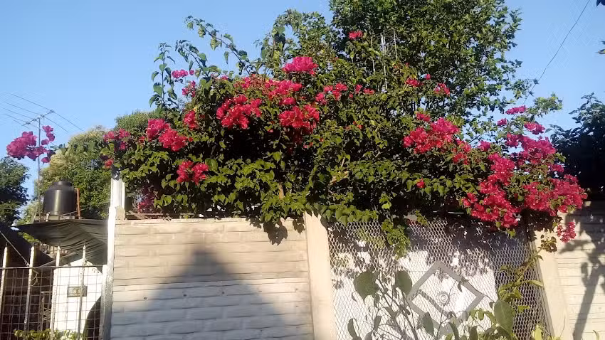 Maderera Y Viviendas LA VICTORIA