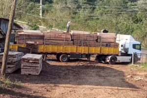 Maderlandia (sucursal Misiones)