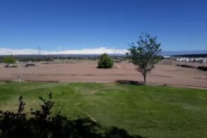 MANUEL VICIANA E HIJOS DEPOSITO