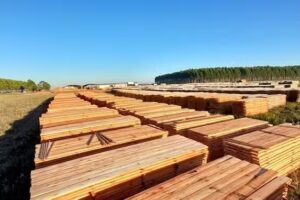 Mart&iacute;n Leonardi Maderas