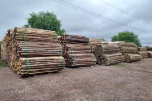 Mda Maderas Impregnadas Sa