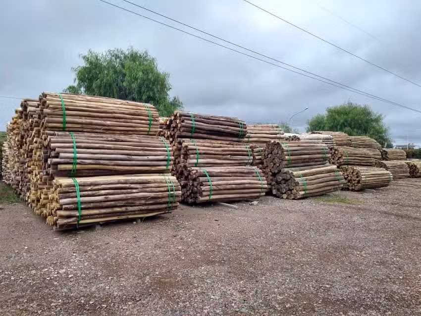 Mda Maderas Impregnadas Sa