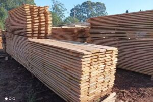 Mds maderas, aserradero