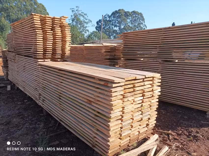 Mds maderas, aserradero