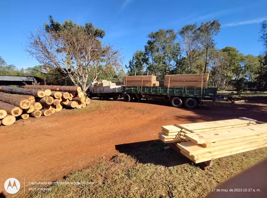 MDS maderas viale (ER)