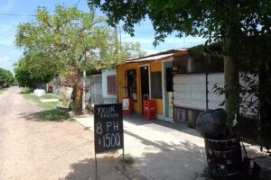 MI JUEGUETE DE MADERA